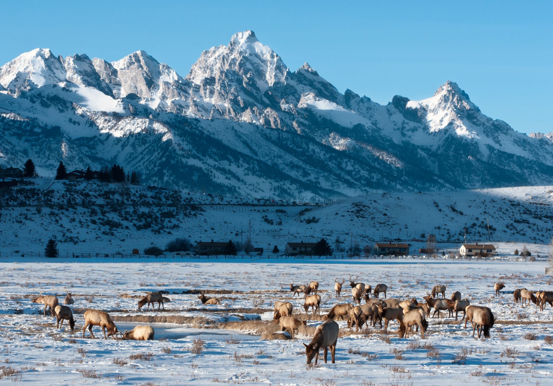 Jackson Hole, Wyoming 